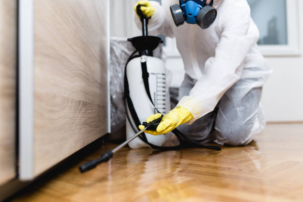 Best Pest Control Treatment  in Winter Haven, FL