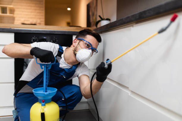 Best Best Pest Control Near Me  in Winter Haven, FL