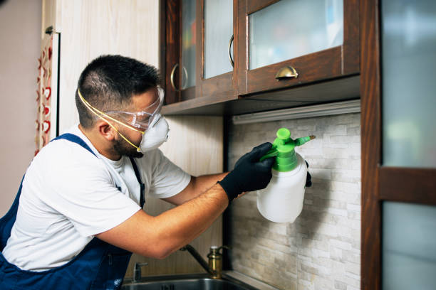 Best Best Pest Control Companies  in Winter Haven, FL