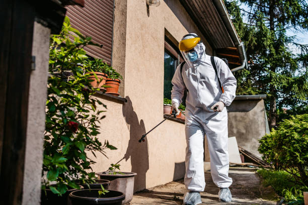 Best Pest Control Near Me  in Winter Haven, FL