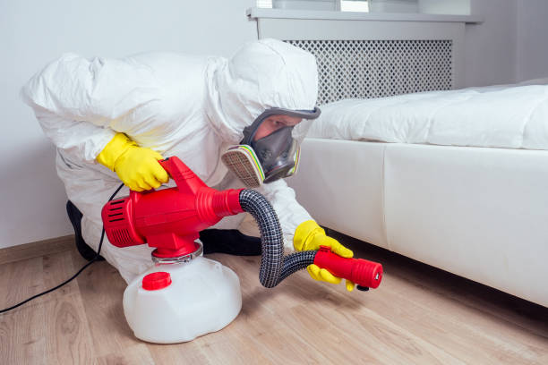 Best Local Pest Control Services  in Winter Haven, FL