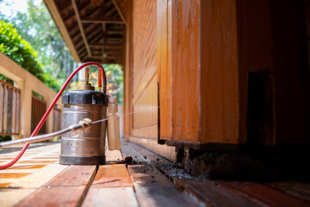 Pest Control Cost in Winter Haven, FL