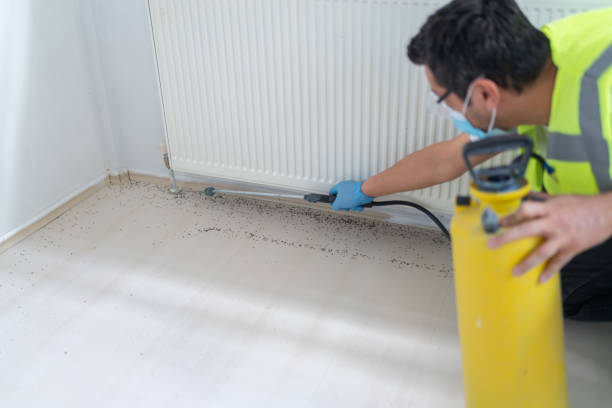 Best Ant Control Services  in Winter Haven, FL